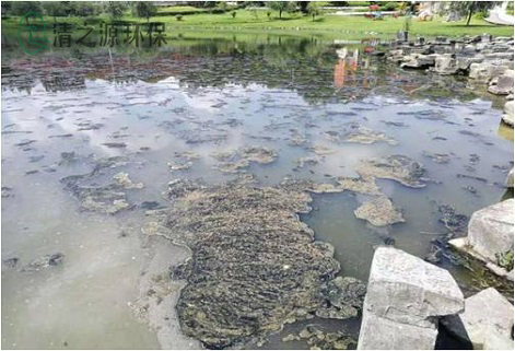 污水黄片APP91免费版需要经常测量和监测哪些水污染指标